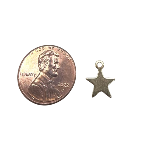 TINY STAR CHARM (GOLD)